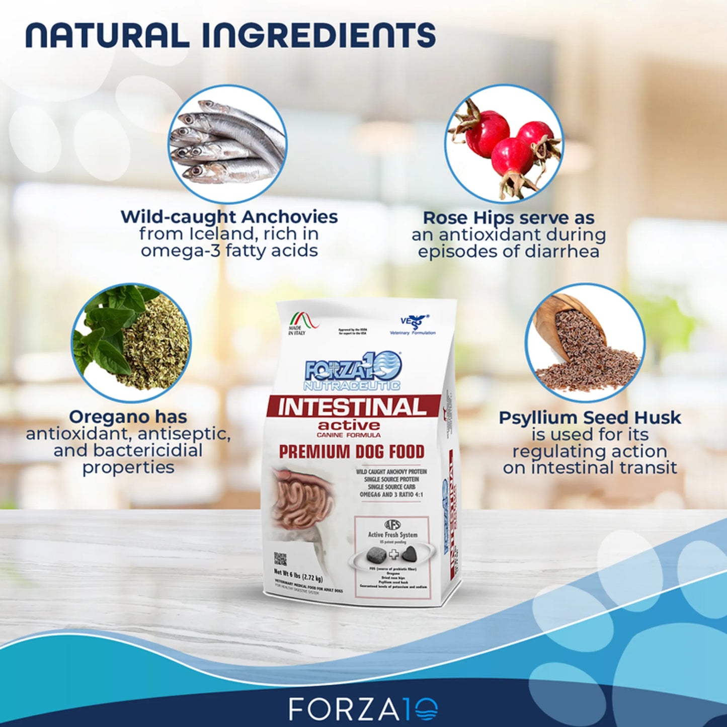 Forza10 Optimal Intestinal Dog Food 6 lbs