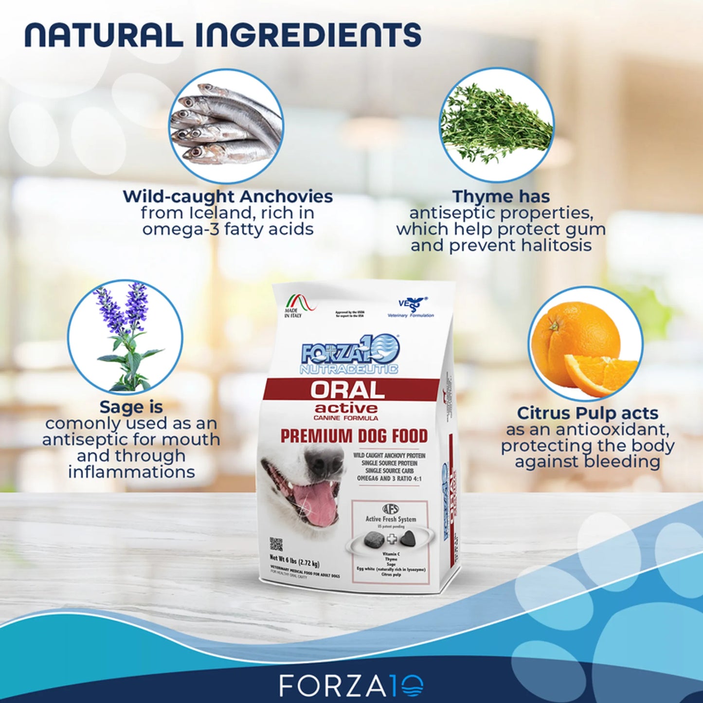 Forza10 Active Oral Dog Food 6 lbs