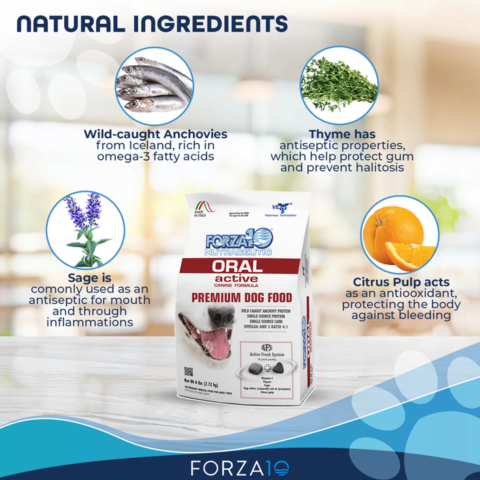 Forza10 Active Oral Support Diet Dry Dog Food - Your Pet Connection
