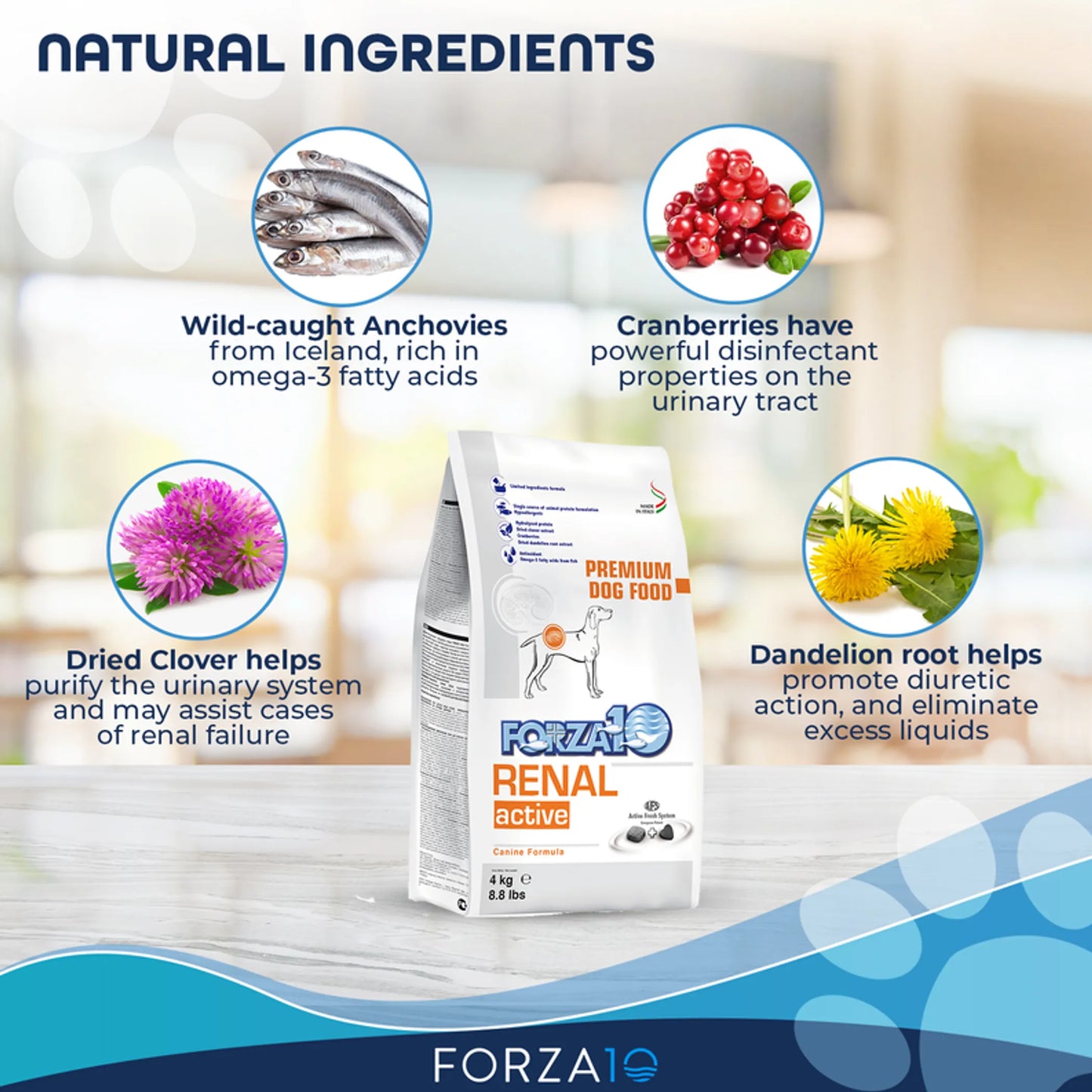 Forza10 Active Kidney Renal Support Diet Dry Dog Food - Your Pet Connection