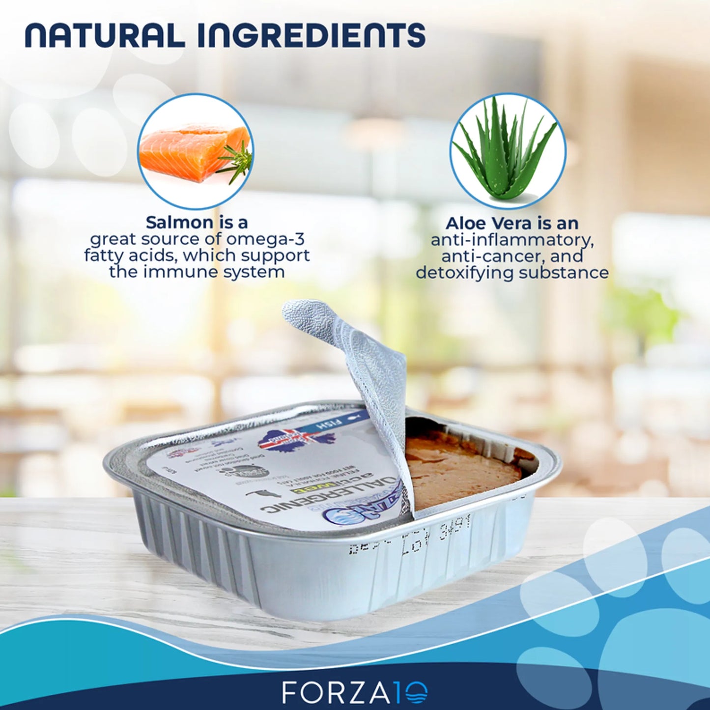 Forza10 Actiwet Hypoallergenic Icelandic Fish Recipe Canned Dog Food - Your Pet Connection