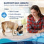 Forza10 ActiWet Dermo Icelandic Fish Recipe Canned Dog Food - Your Pet Connection