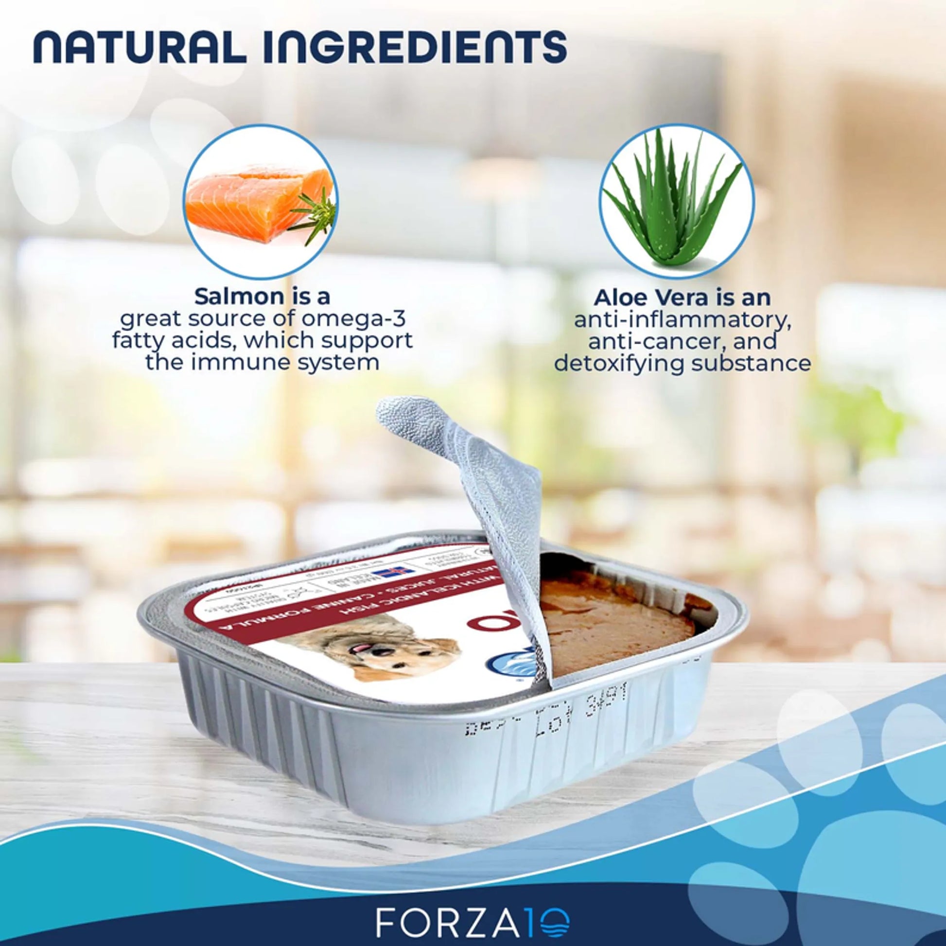 Forza10 ActiWet Dermo Icelandic Fish Recipe Canned Dog Food - Your Pet Connection