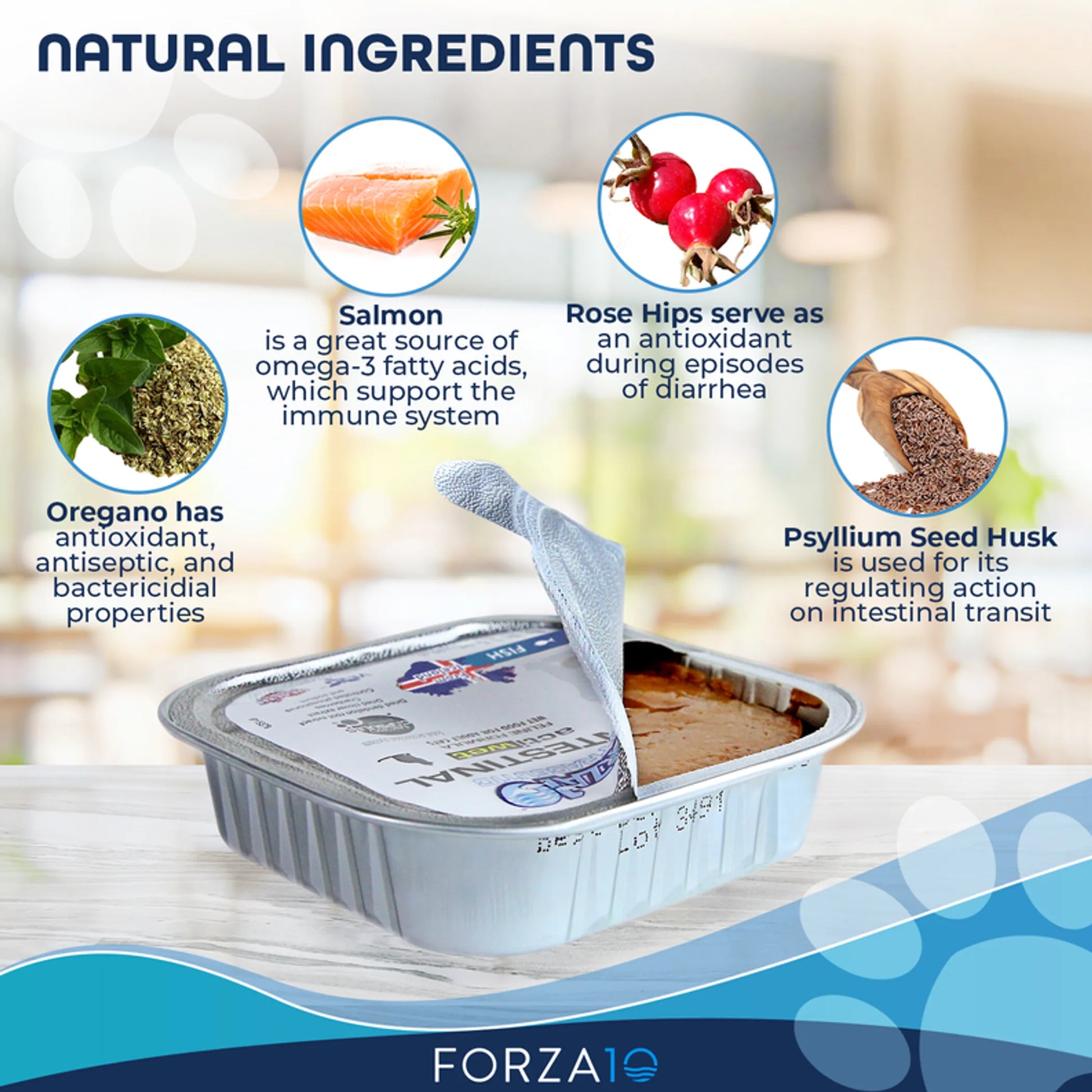Forza10 Actiwet Intestinal Support Icelandic Fish Recipe Canned Dog Food - Your Pet Connection