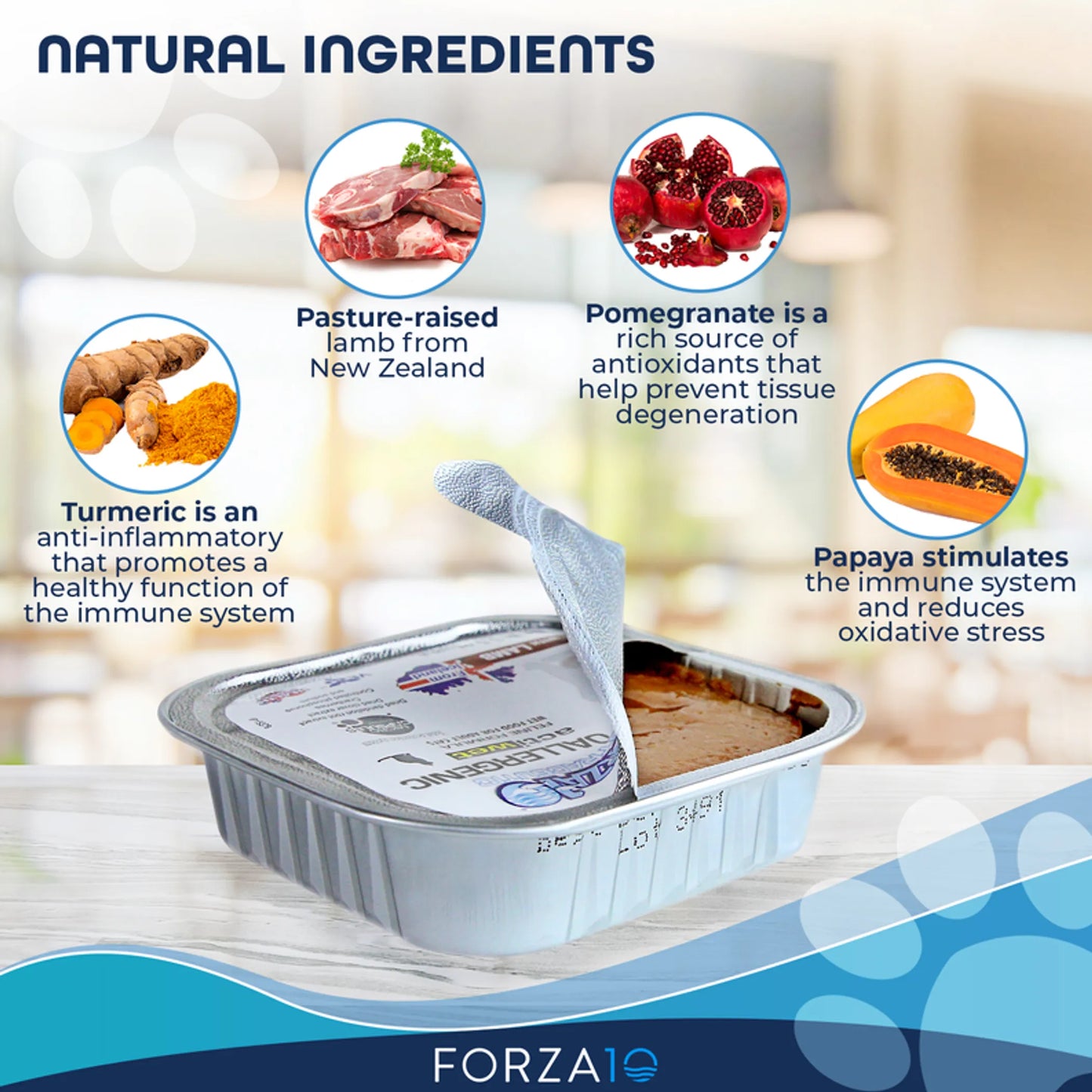 Forza10 Actiwet Hypoallergenic Canned Cat Food - Your Pet Connection