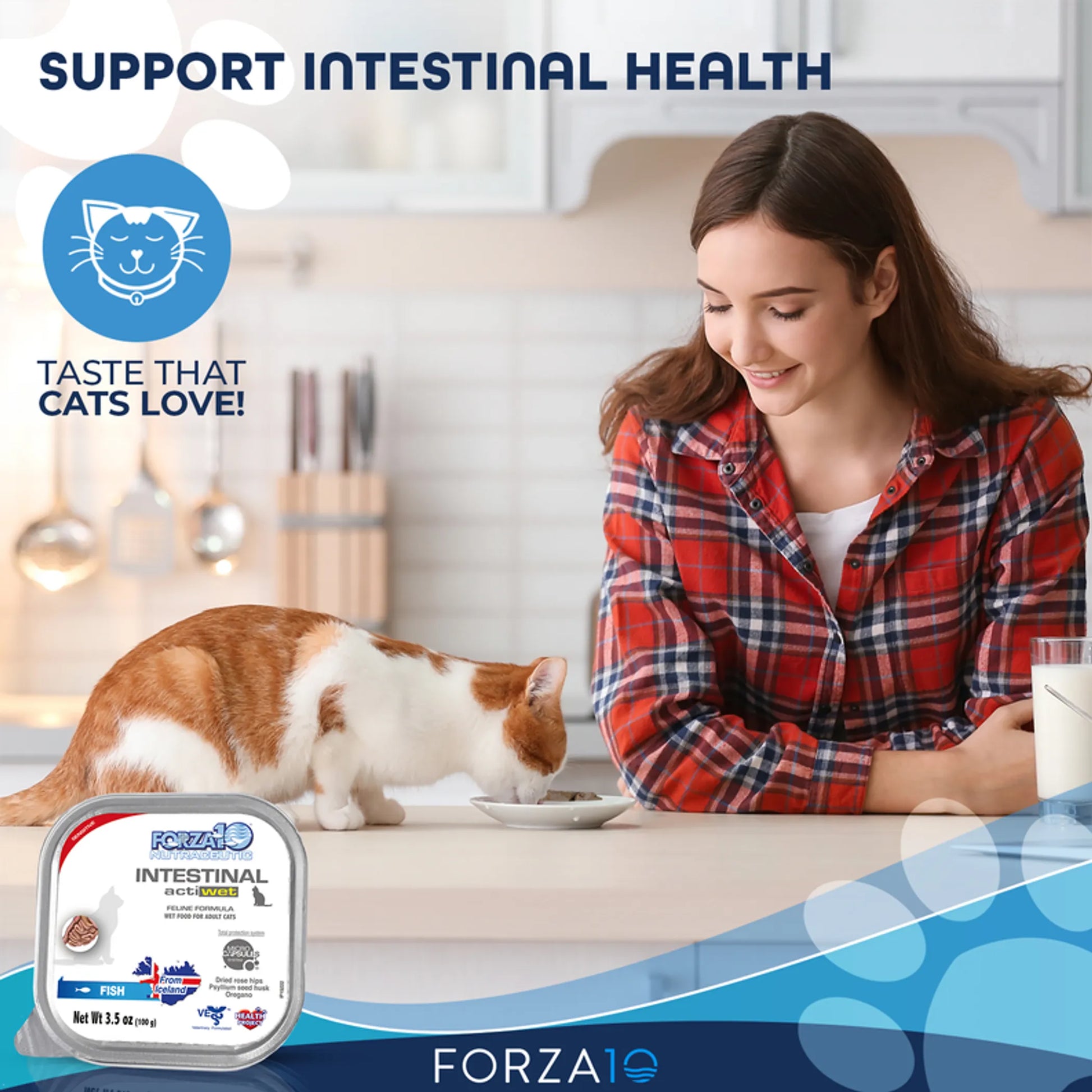 Forza10 Actiwet Intestinal Support Icelandic Fish Recipe Canned Cat Food - Your Pet Connection