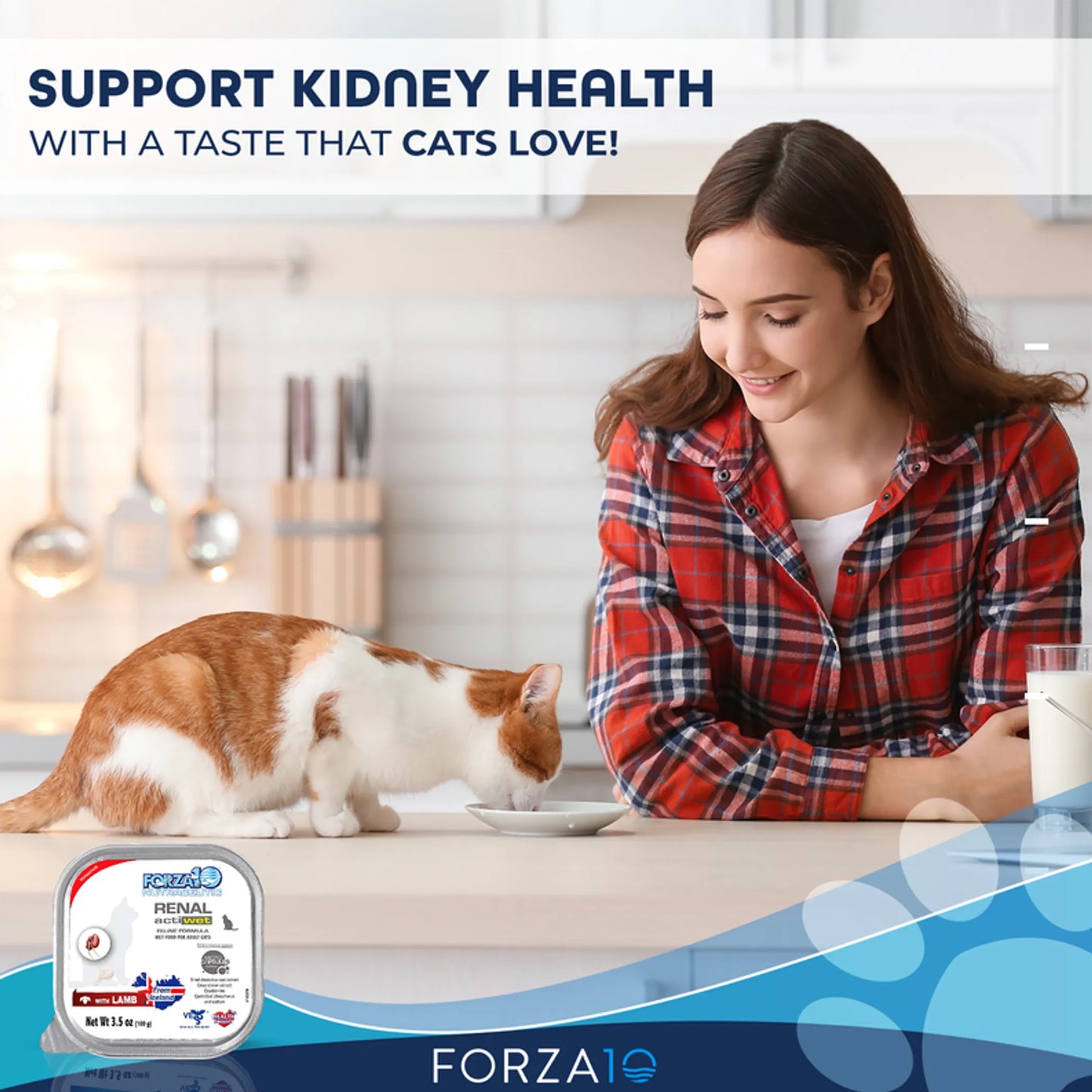 Forza10 Actiwet Renal Support Canned Cat Food - Your Pet Connection