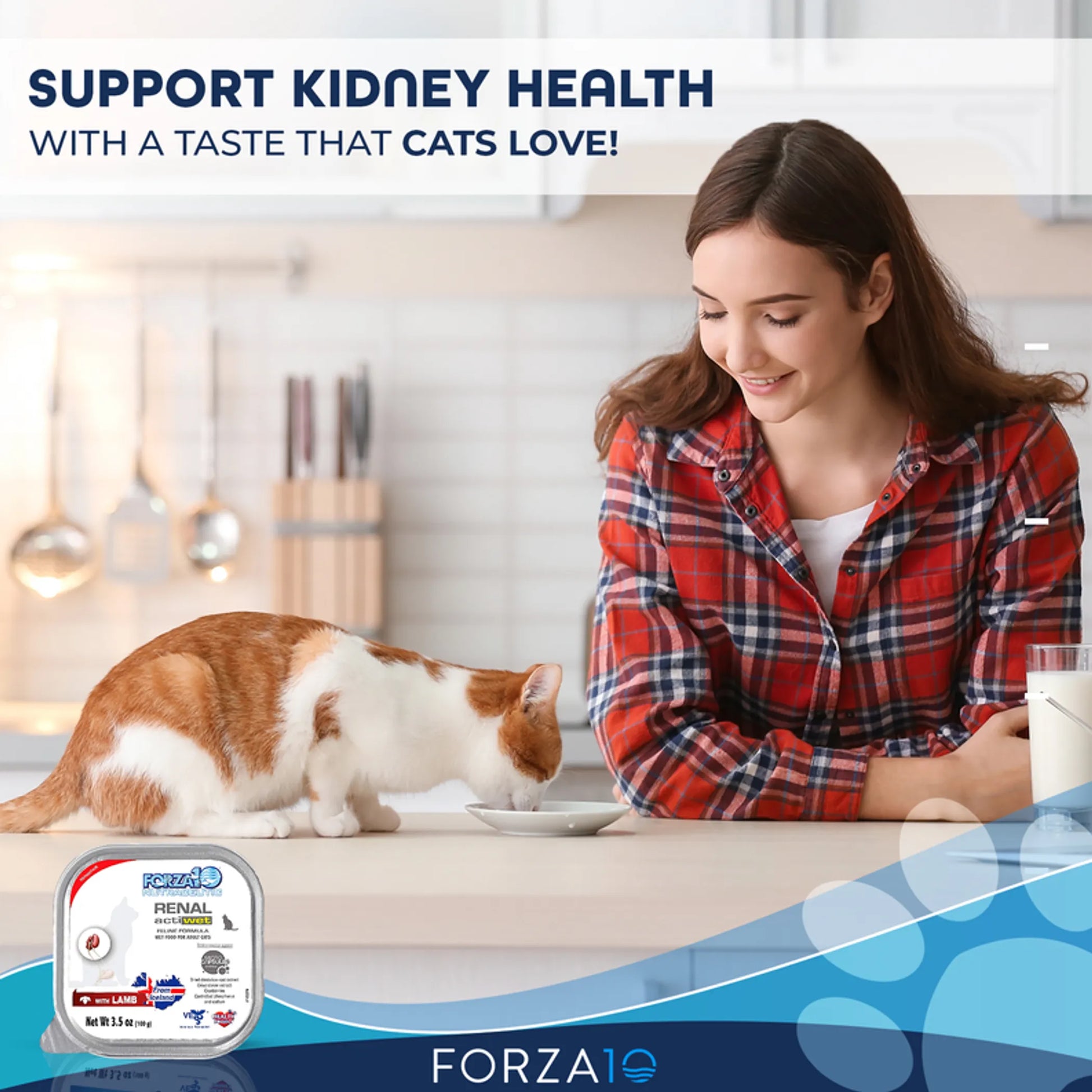 Forza10 Actiwet Renal Support Canned Cat Food - Your Pet Connection