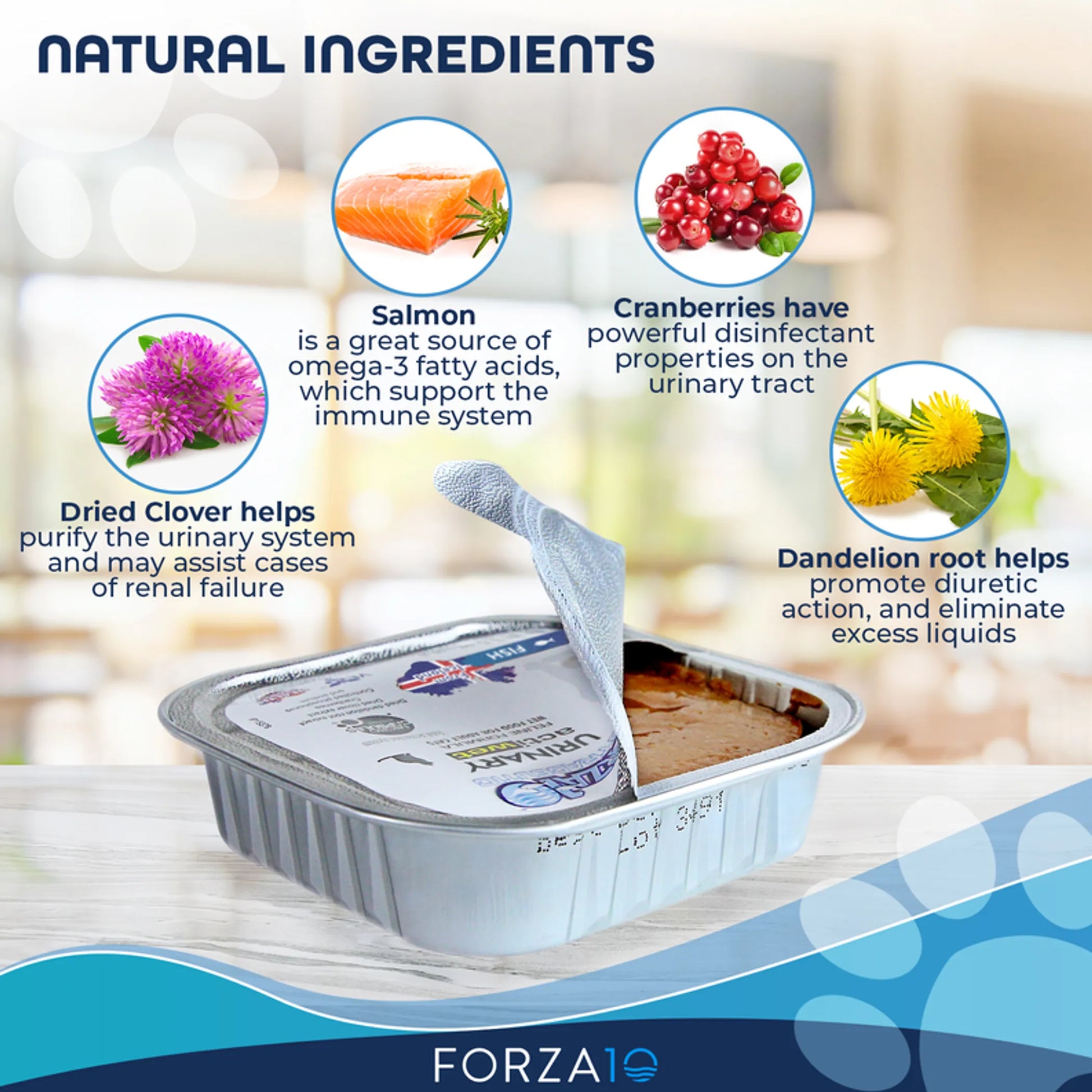 Forza10 Actiwet Urinary Support Icelandic Fish Recipe Canned Cat Food - Your Pet Connection