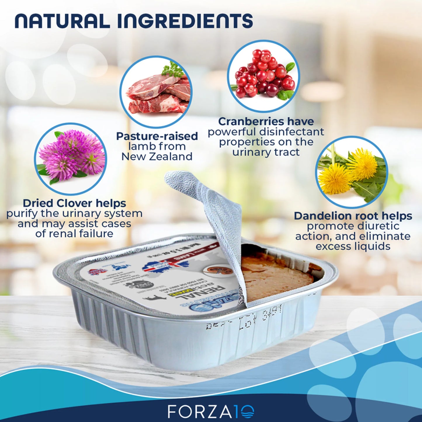 Forza10 Renal Actiwet Dog Food 3.5 oz