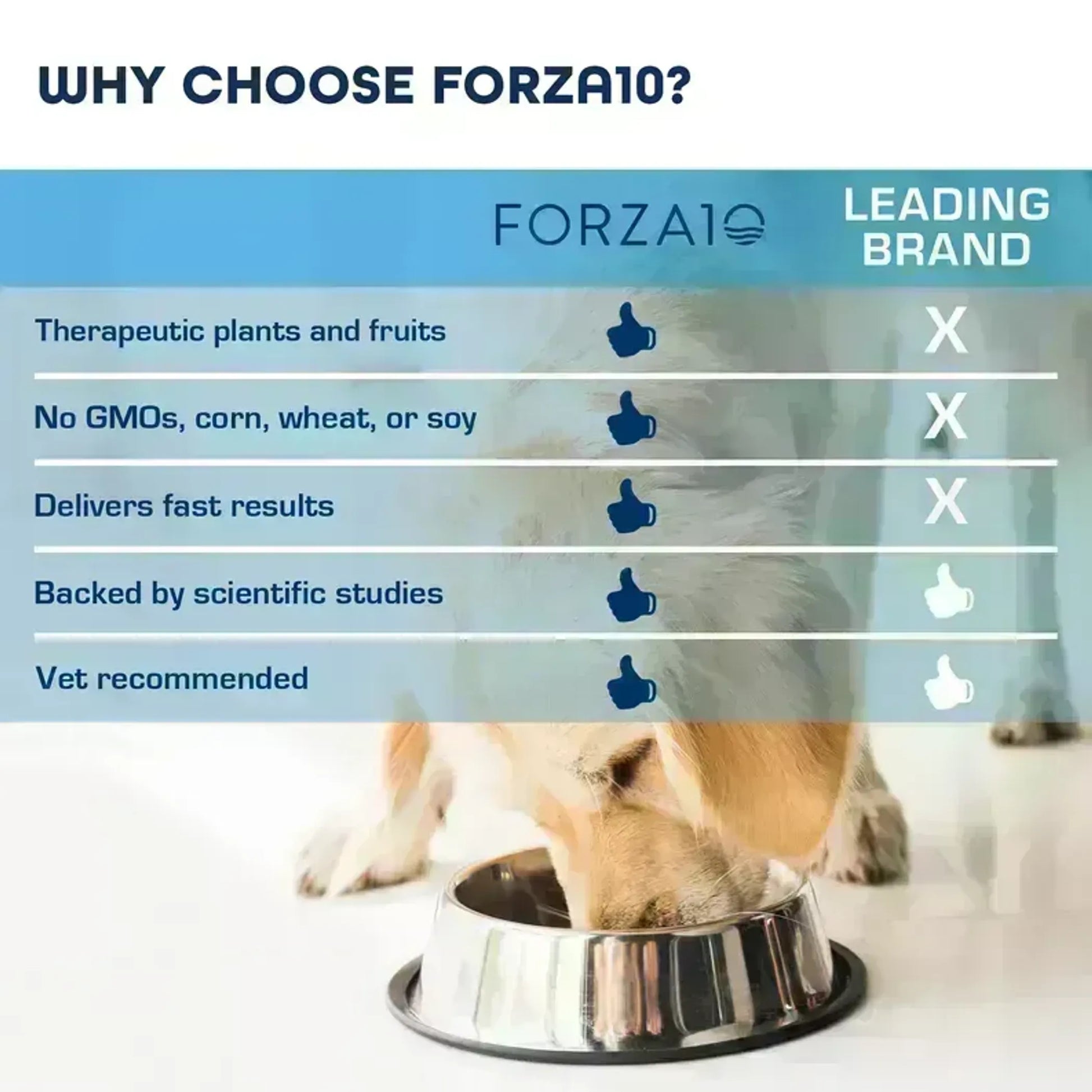 Forza10 Legend Digestion Grain-Free Dry Dog Food - Your Pet Connection