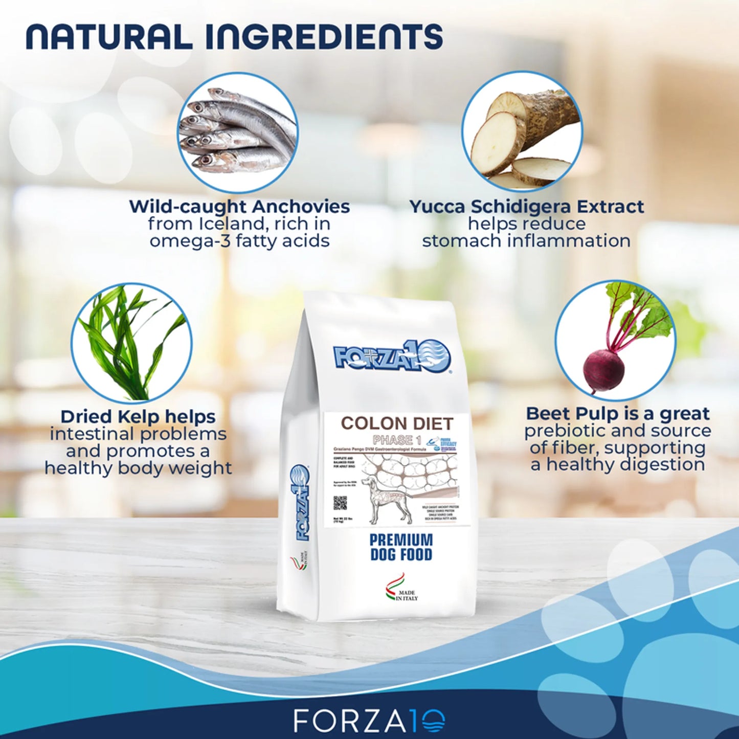 Forza10 Active Colon Support Diet Phase 1 Dry Dog Food - Your Pet Connection