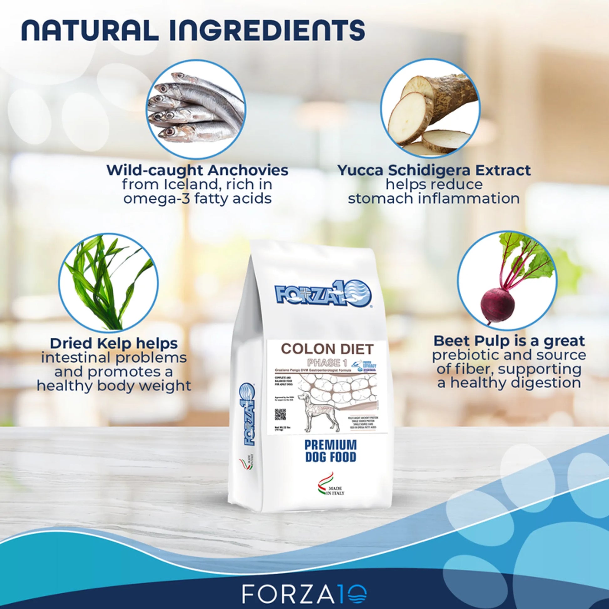 Forza10 Active Colon Support Diet Phase 1 Dry Dog Food - Your Pet Connection