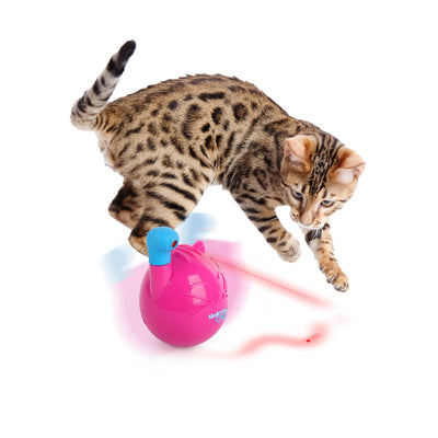 Modern Cat - Cat Wobble Laser Toy