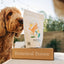Bulk Treats - Superfood Dog Treat | Jar Refills - Your Pet Connection
