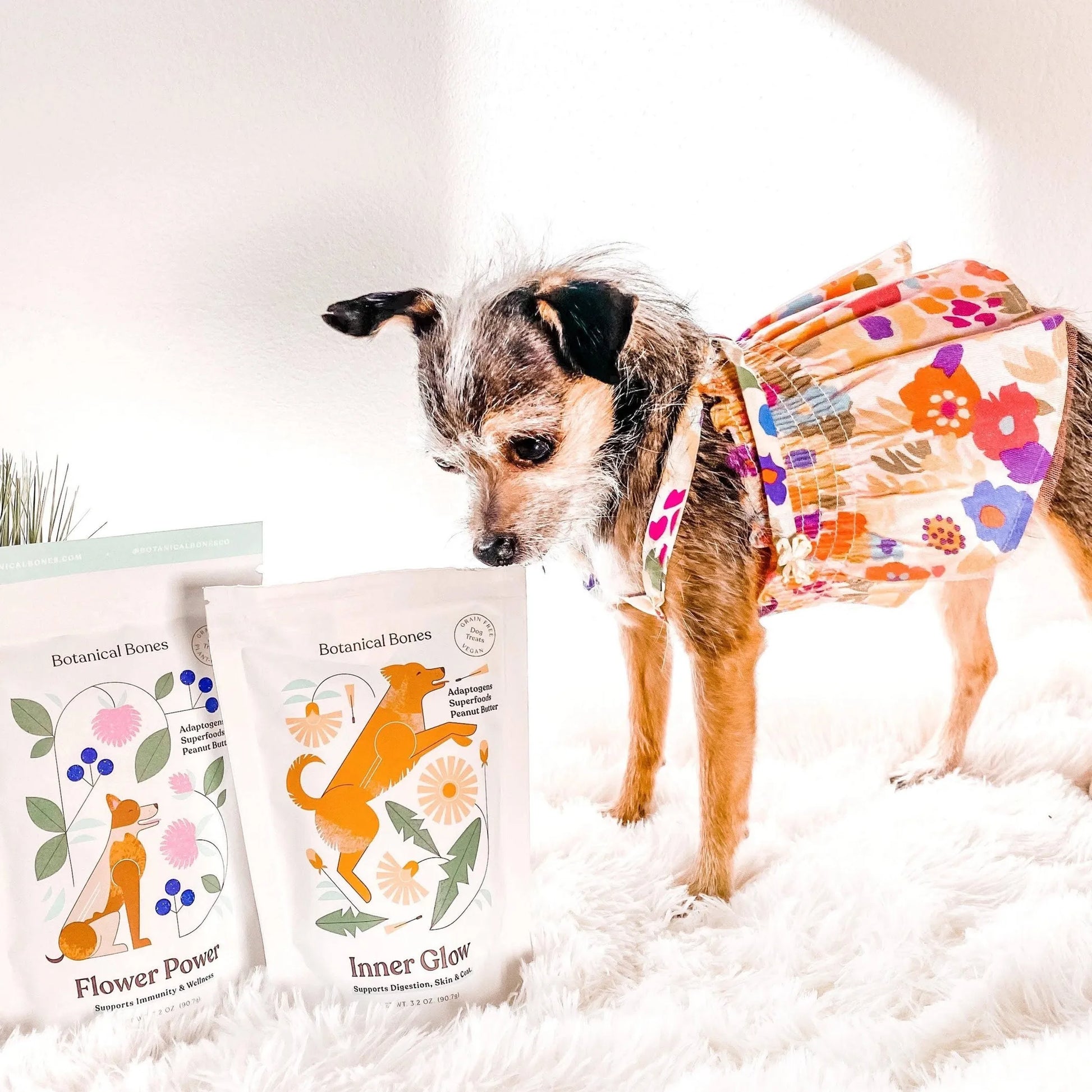 Inner Glow - Superfood Dog Treats - Your Pet Connection