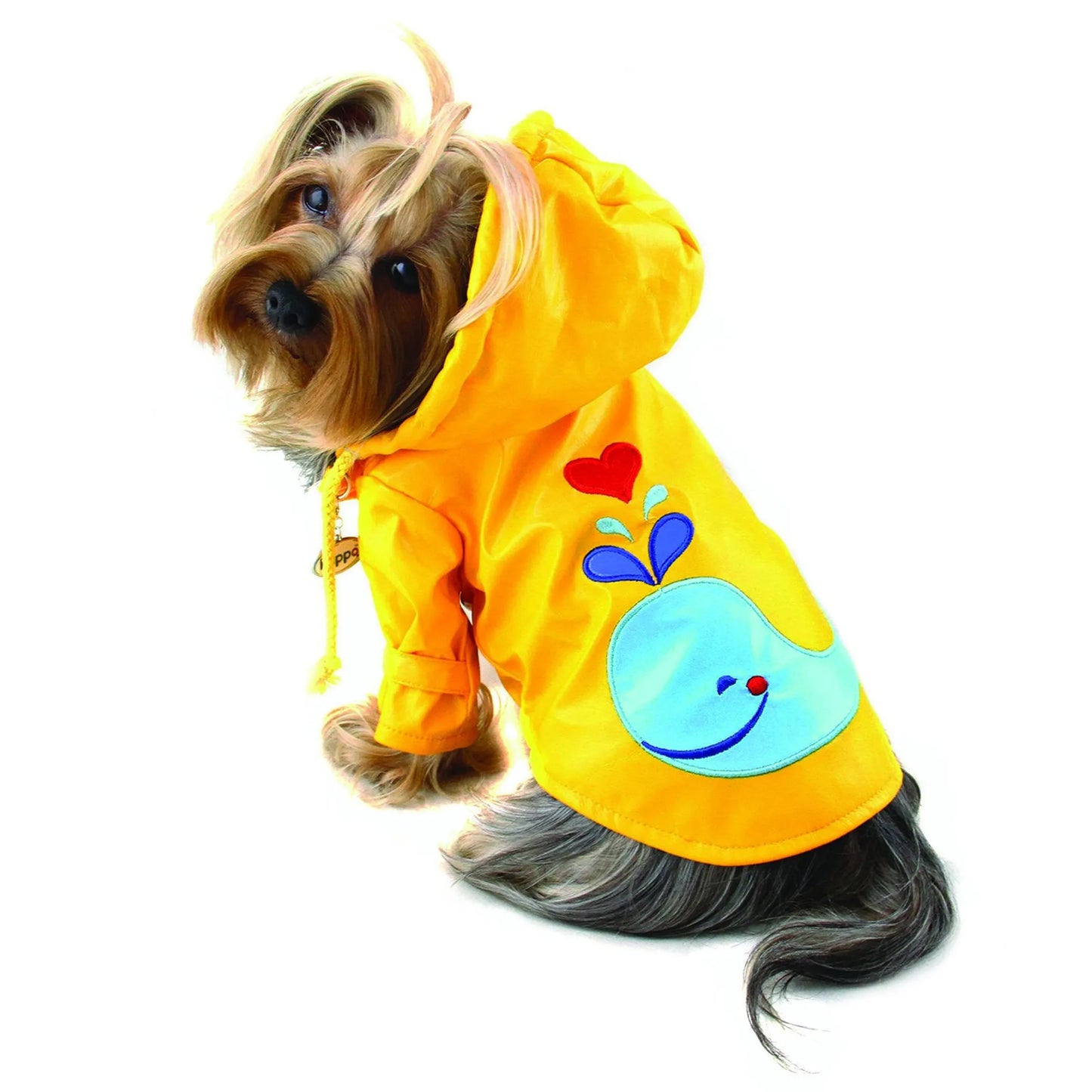 Splashing Whale Raincoat with Cotton Lining - Your Pet Connection
