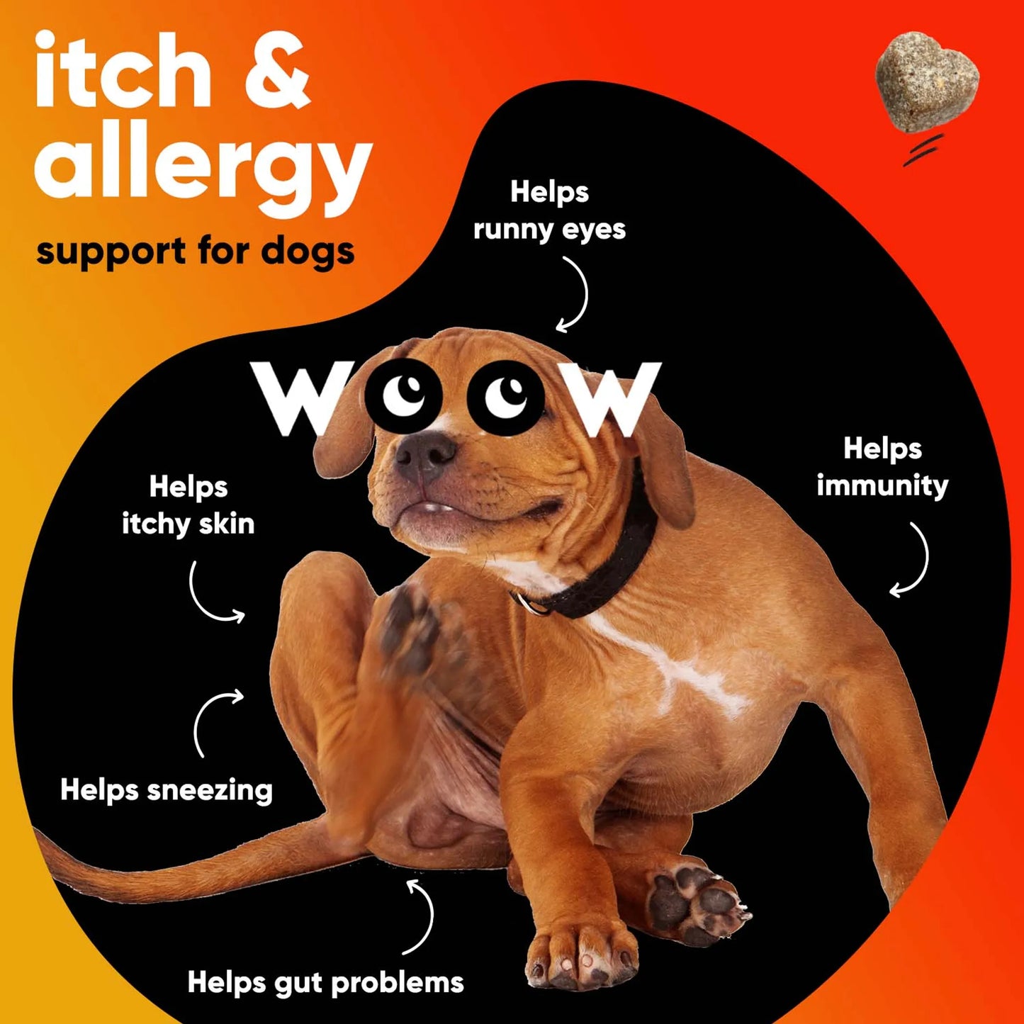 DR WOOW Allergy & Immunity Soft Chews 9.5 oz