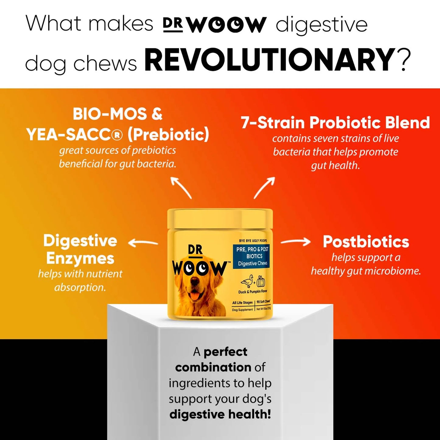 Dr Woow Digestion Soft Chews - Your Pet Connection