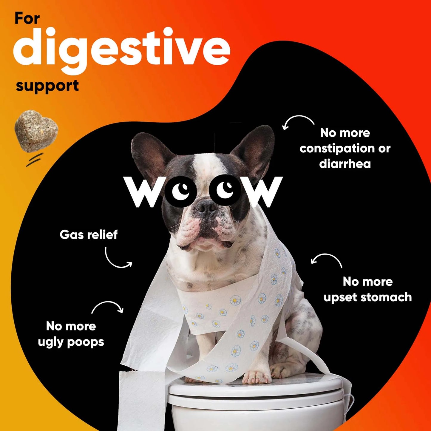Dr Woow Digestion Soft Chews - Your Pet Connection