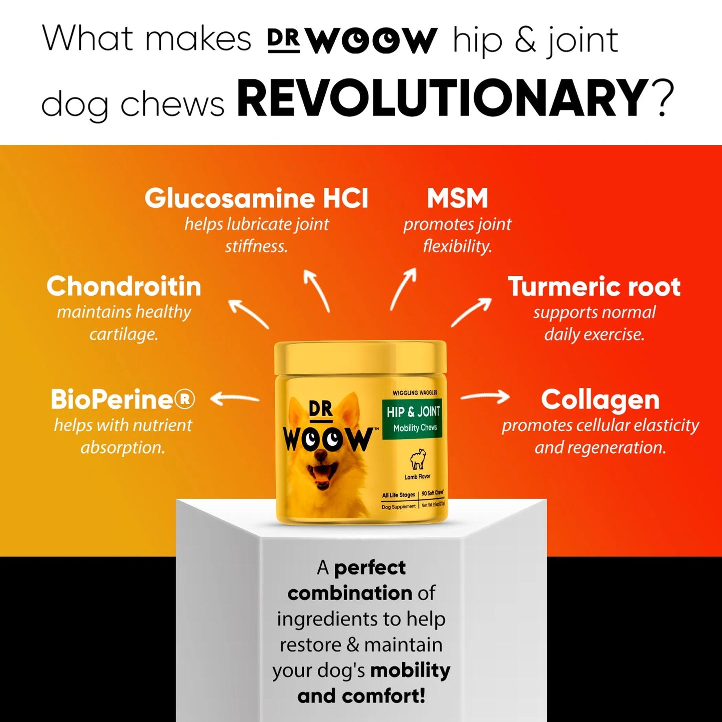 DR WOOW Hip & Joint Mobility Chews 9.5 oz