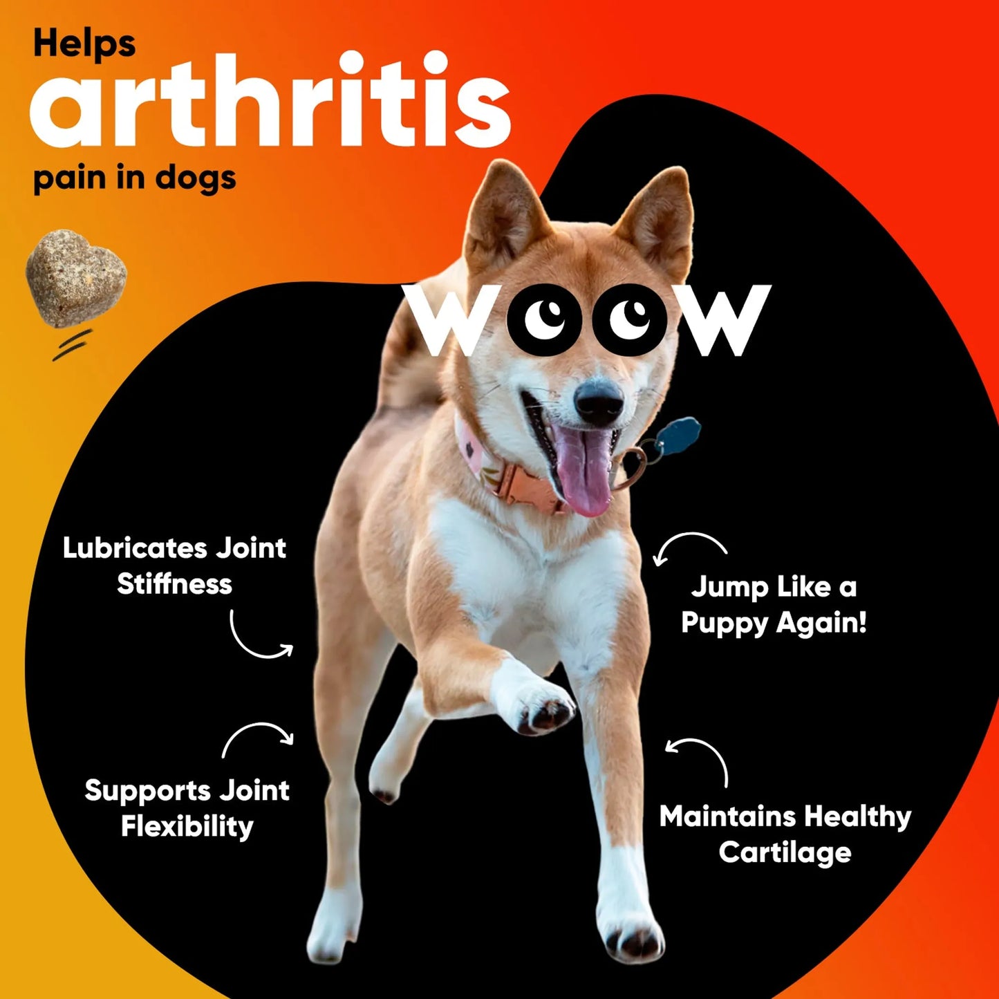 DR WOOW Hip & Joint Mobility Chews 9.5 oz