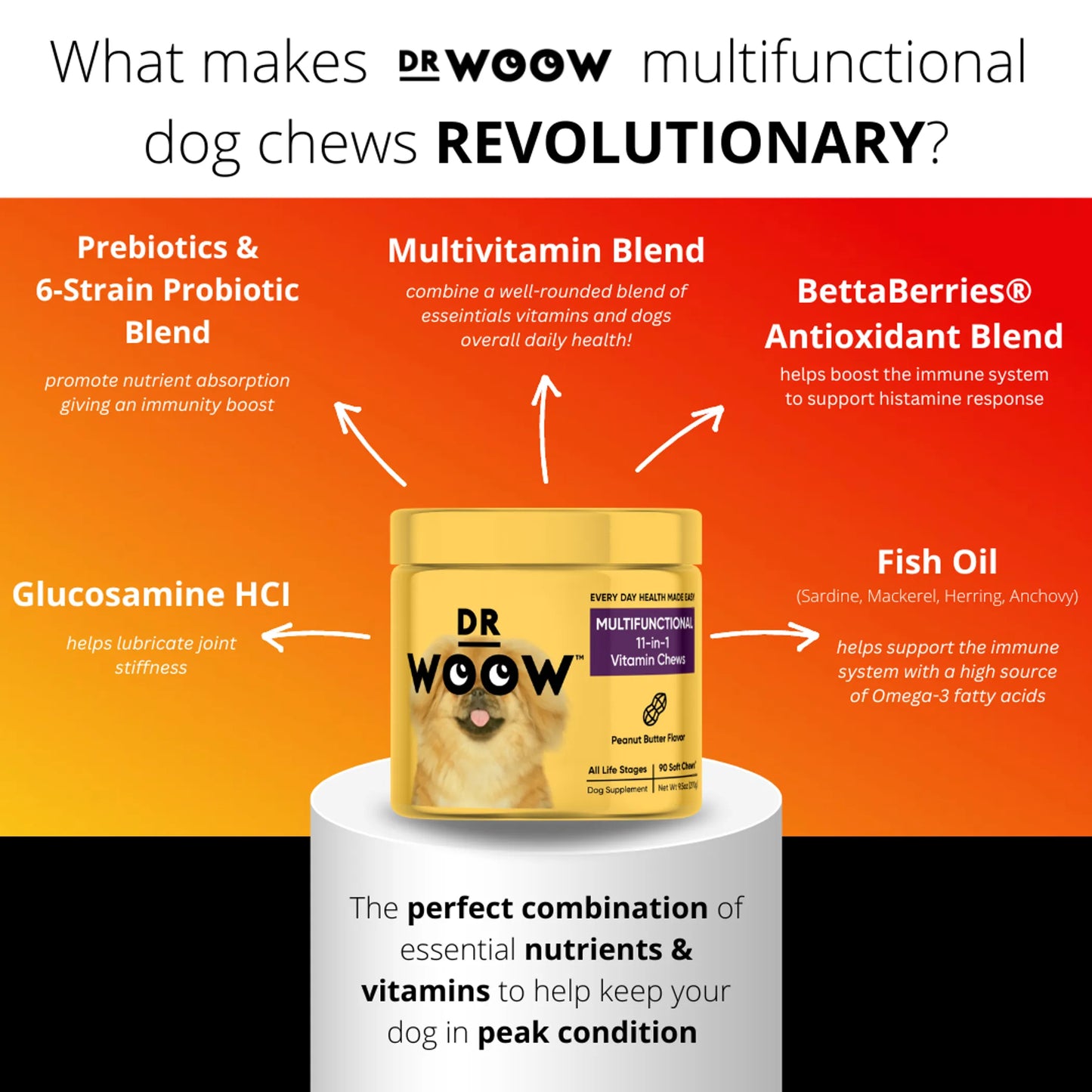 Dr Woow Multifunctional 11-in-1 vitamin chews - Your Pet Connection