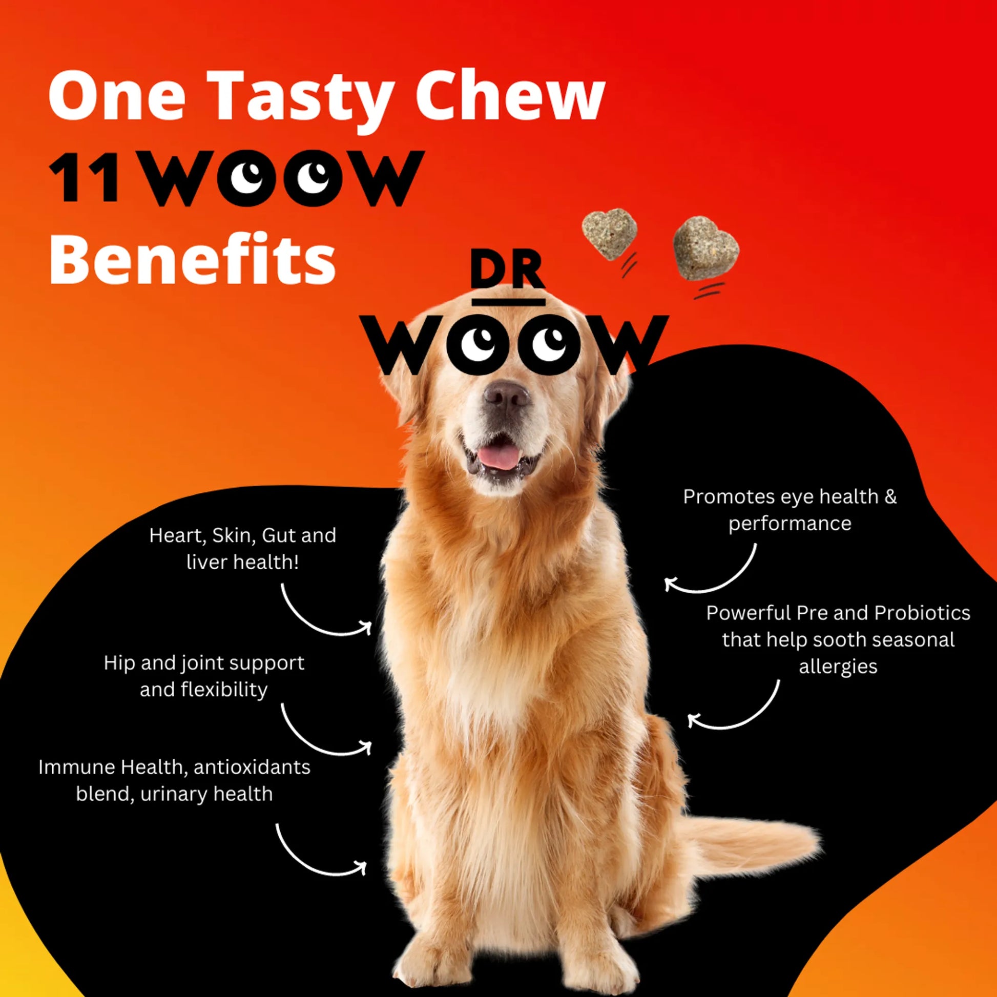 Dr Woow Multifunctional 11-in-1 vitamin chews - Your Pet Connection
