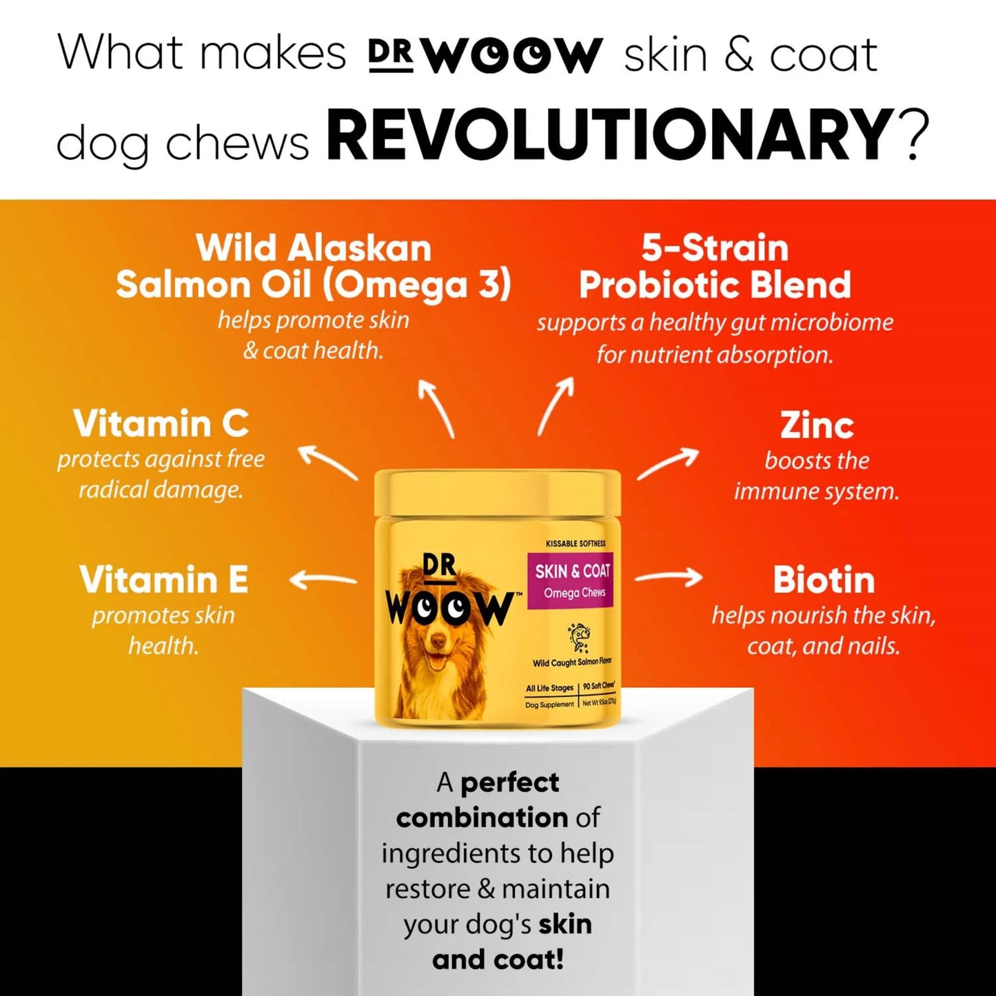 Dr Woow Skin and Coat Soft Chews - Your Pet Connection