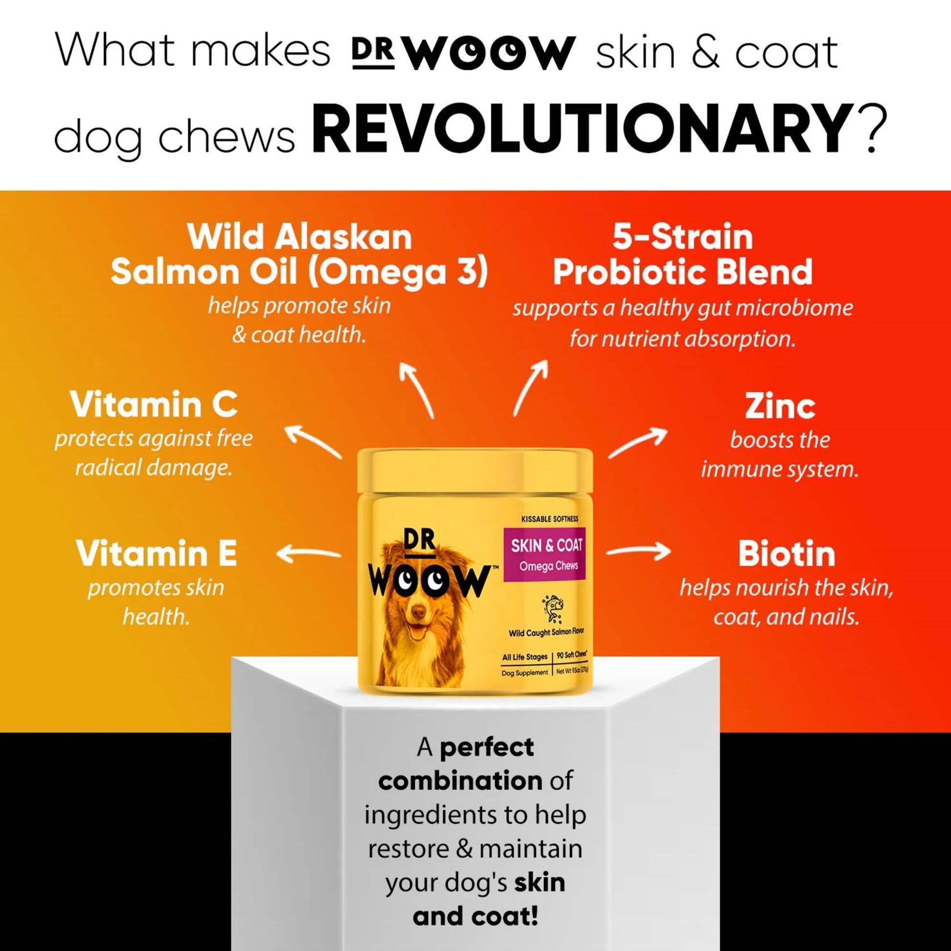 Dr Woow Skin and Coat Soft Chews - Your Pet Connection