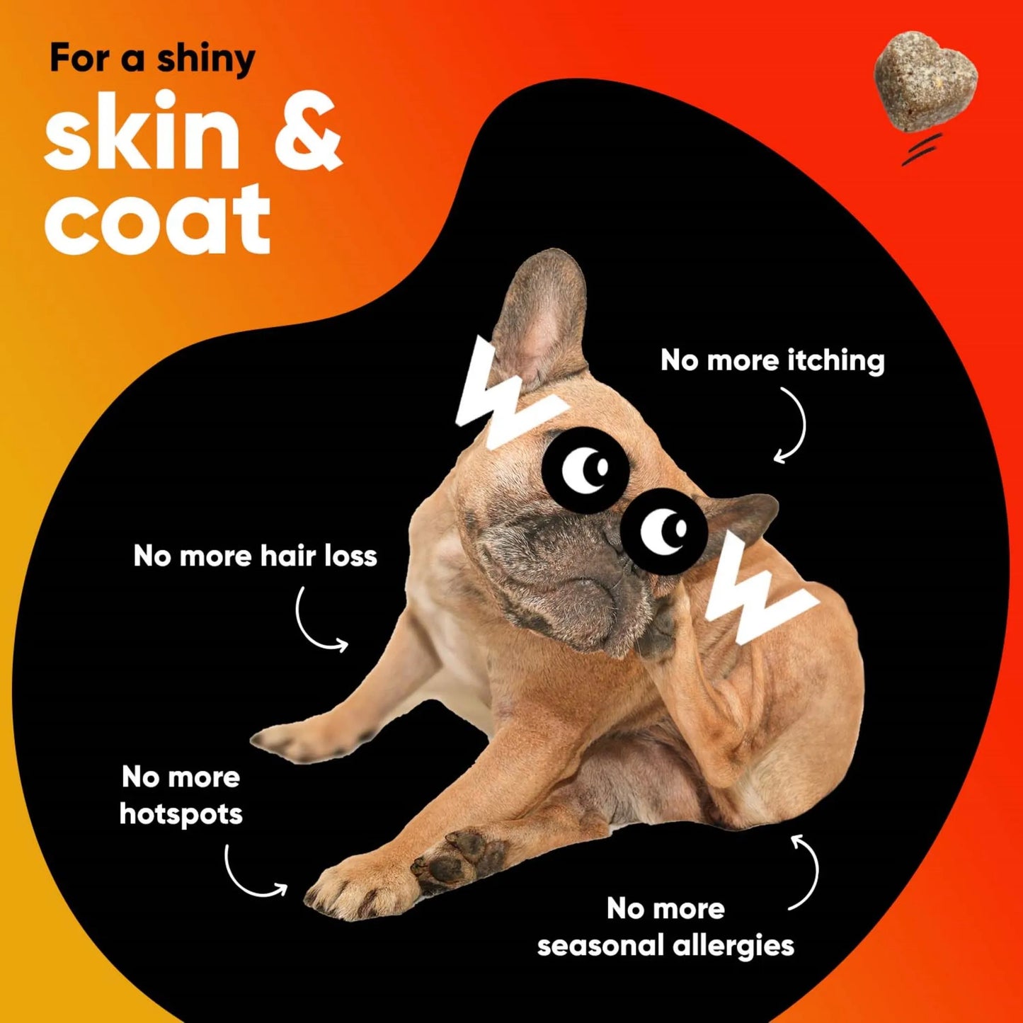 Dr Woow Skin and Coat Soft Chews - Your Pet Connection