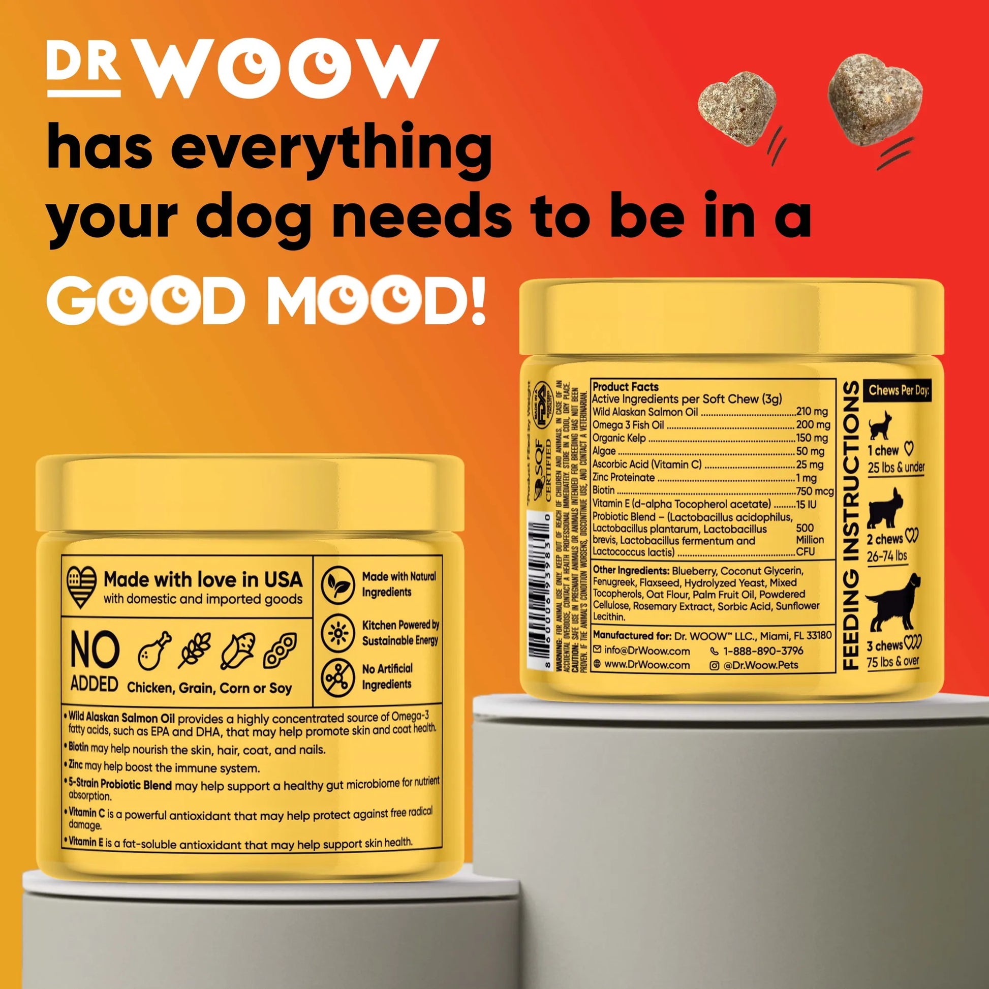 Dr Woow Skin and Coat Soft Chews - Your Pet Connection