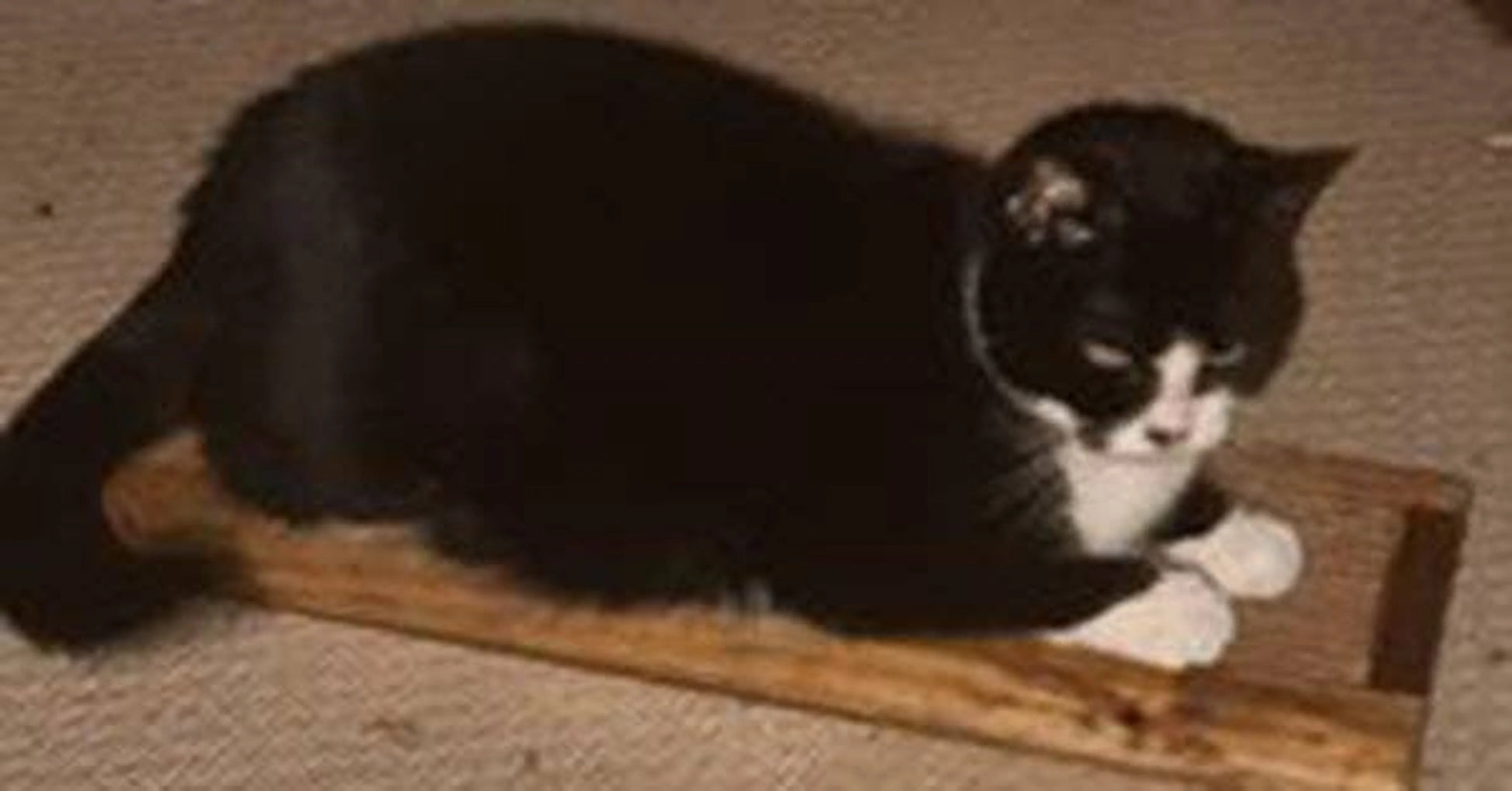 Wooden Cat Scratcher - Your Pet Connection