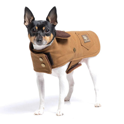 DoggieCoutureNY Miniature Workwear Dog Coat Medium