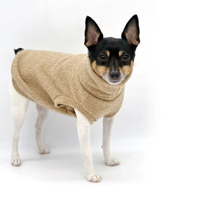 DoggieCoutureNY Caf√© Latte Dog Sweater