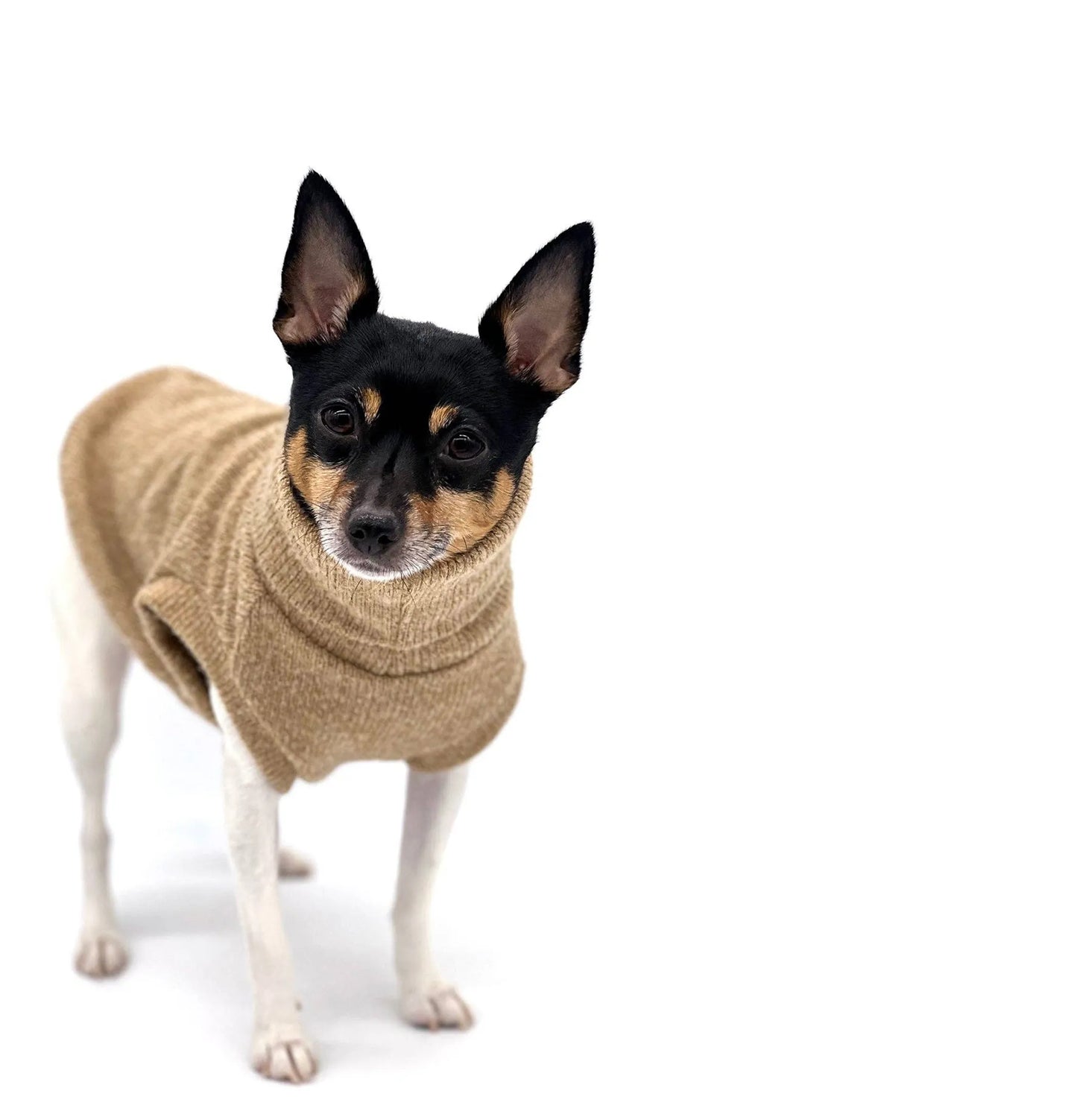 DoggieCoutureNY Caf√© Latte Dog Sweater