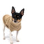DCNY Cafe Latte Sweater - Your Pet Connection