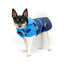 "Clear Blue Sky" - DCNY Equestrian Collection - Your Pet Connection