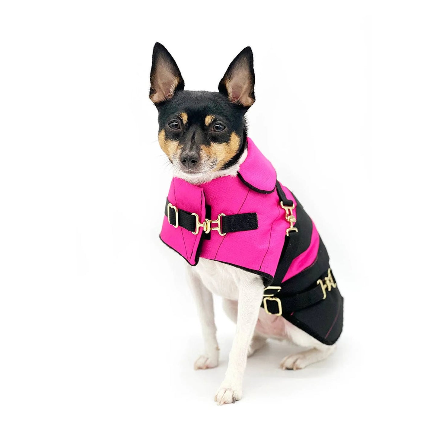 "Fun with Fuschia" - DCNY Equestrian Collection - Your Pet Connection