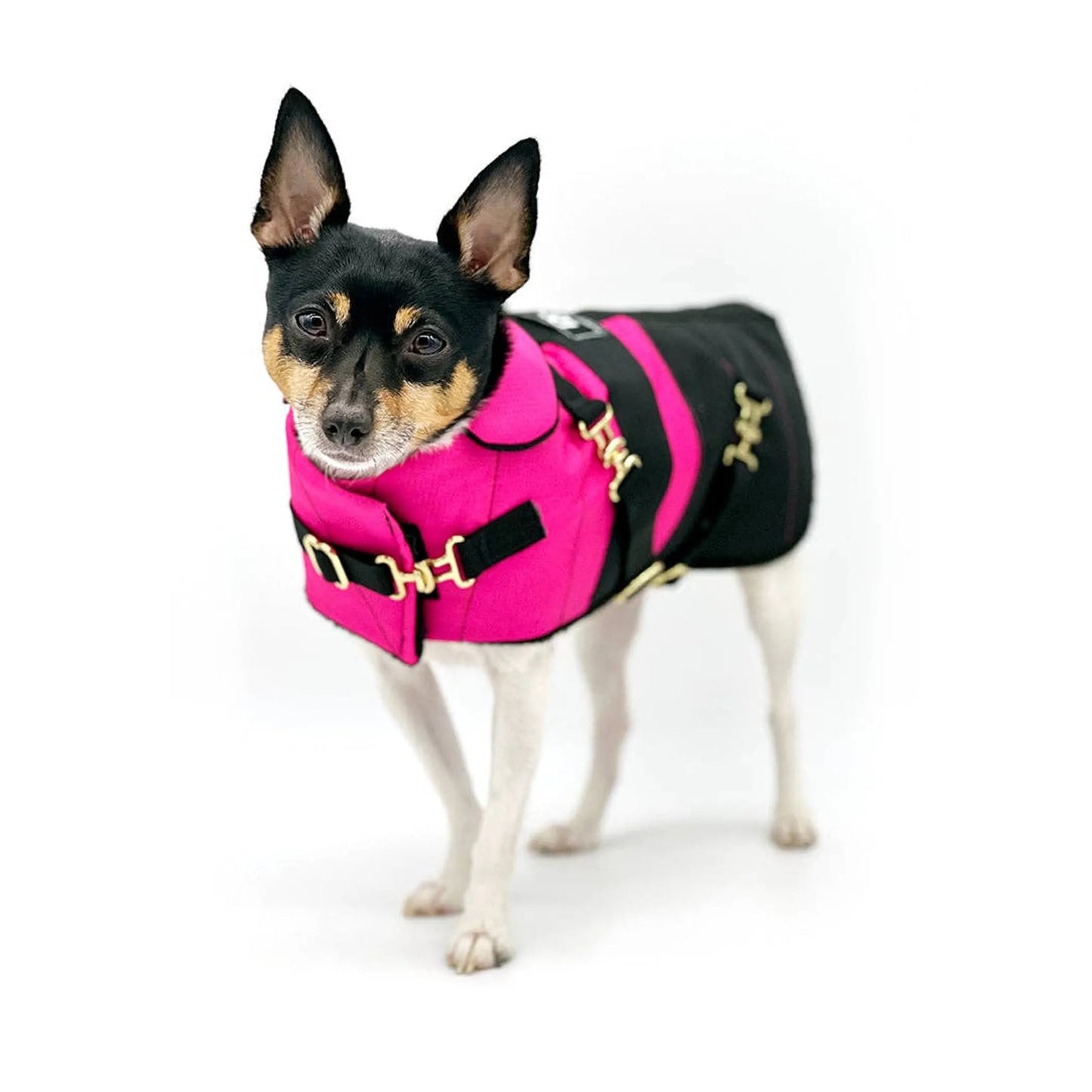 "Fun with Fuschia" - DCNY Equestrian Collection - Your Pet Connection