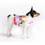 DoggieCoutureNY Floral Dog Harness XS