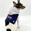 Denim Hoodie "Love" Harness Vest - Your Pet Connection