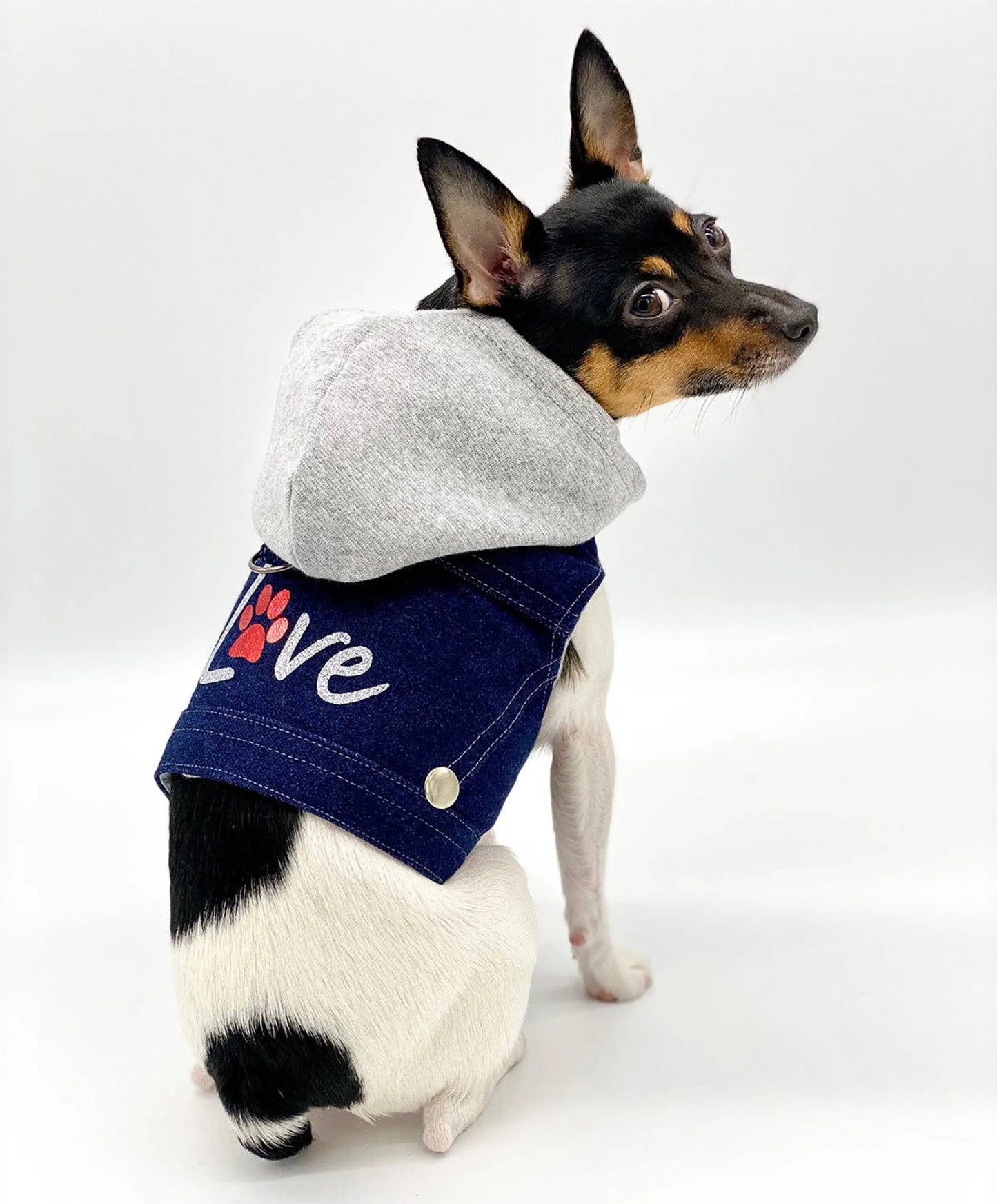 Denim Hoodie "Love" Harness Vest - Your Pet Connection
