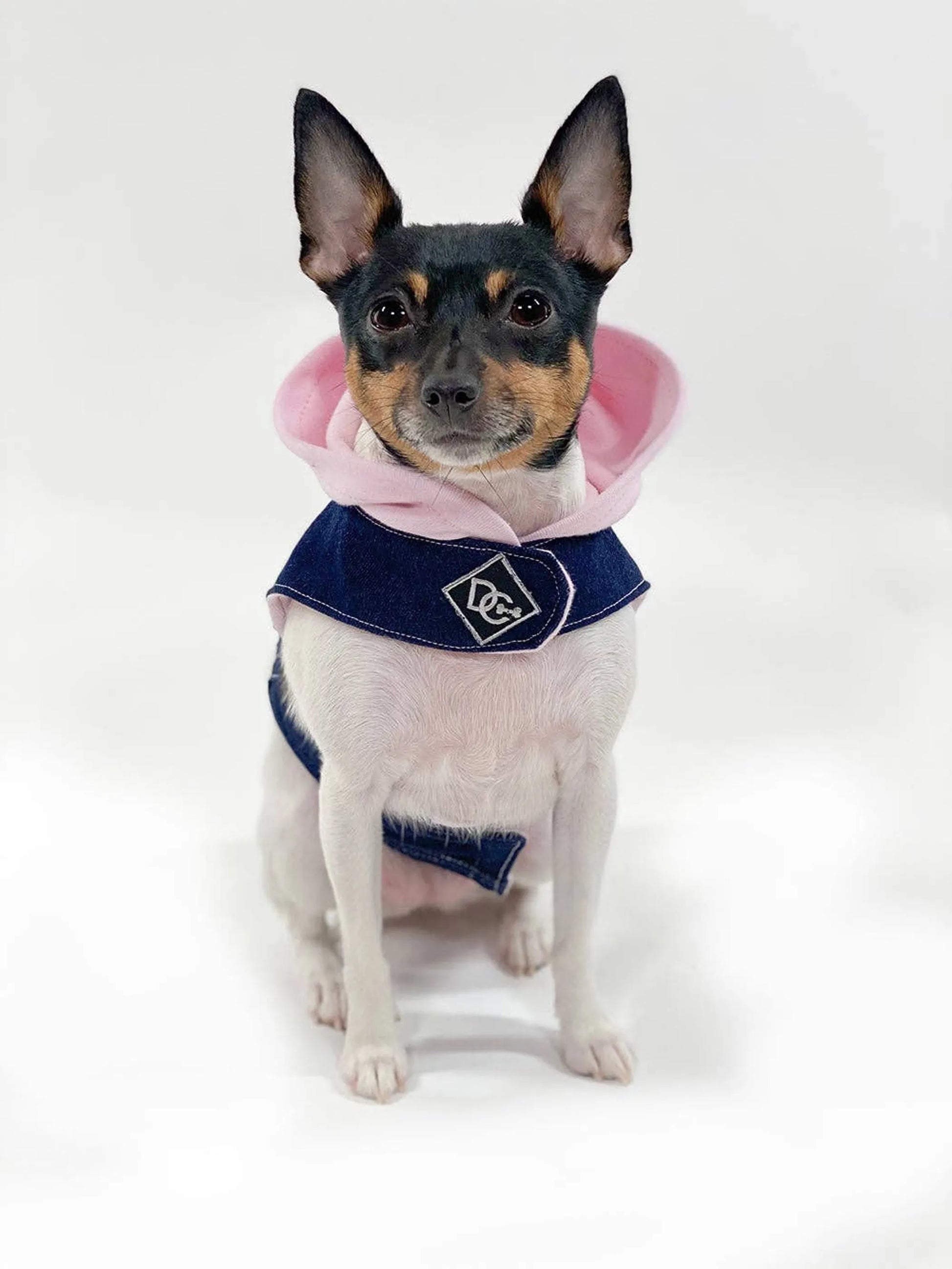 Denim Hoodie "Love" Harness Vest - Your Pet Connection