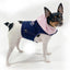 Denim Hoodie "Love" Harness Vest - Your Pet Connection