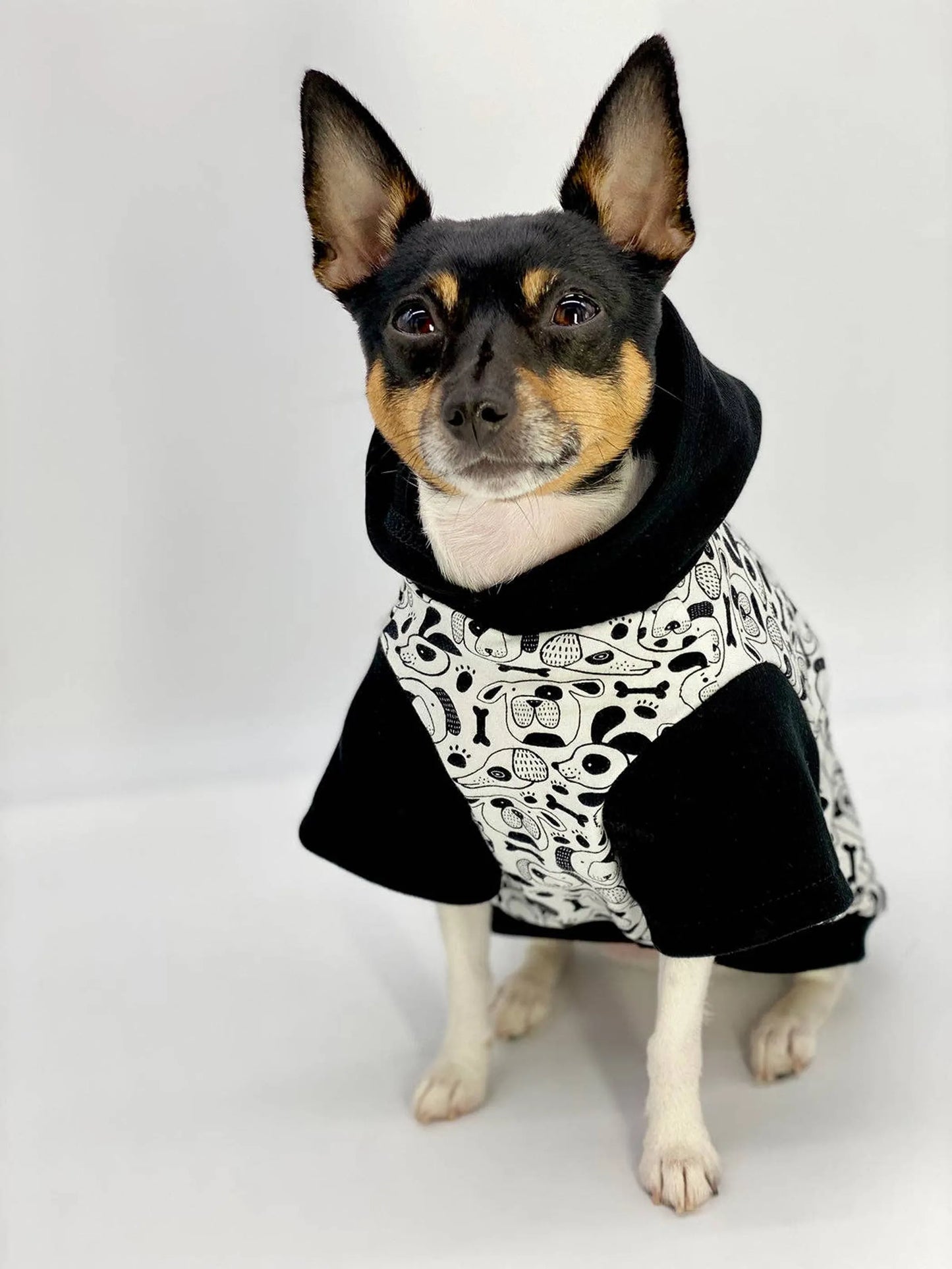 DoggieCoutureNY Cozy Dog Hoodie with Pop-Art Style XS M