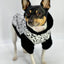 DoggieCoutureNY Cozy Dog Hoodie with Pop-Art Style XS M