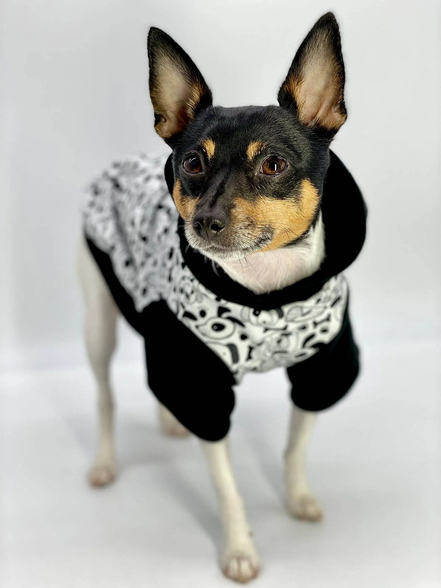 DoggieCoutureNY Cozy Dog Hoodie with Pop-Art Style XS M