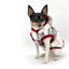 DoggieCoutureNY Red Plaid Dog Hoodie XX-Small to Medium