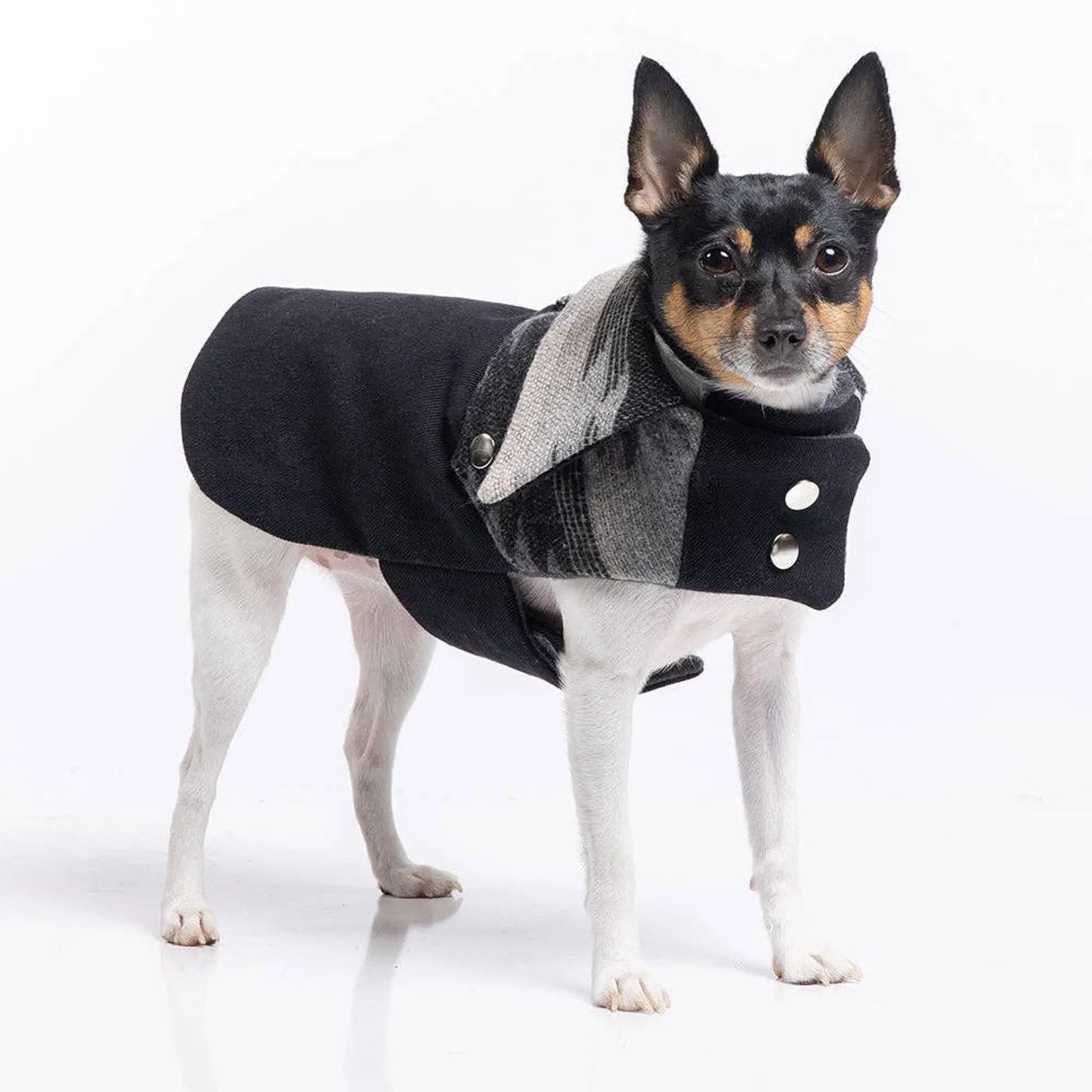 DoggieCoutureNY Navajo Ranch Dog Coat Denim Medium